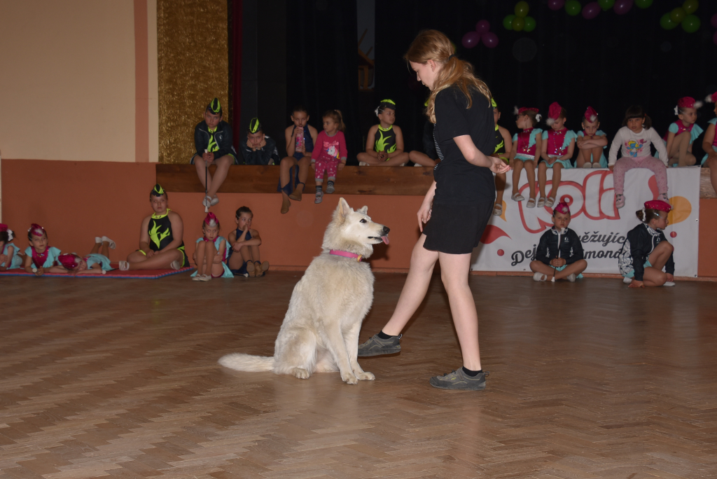 DSC_5487.JPG