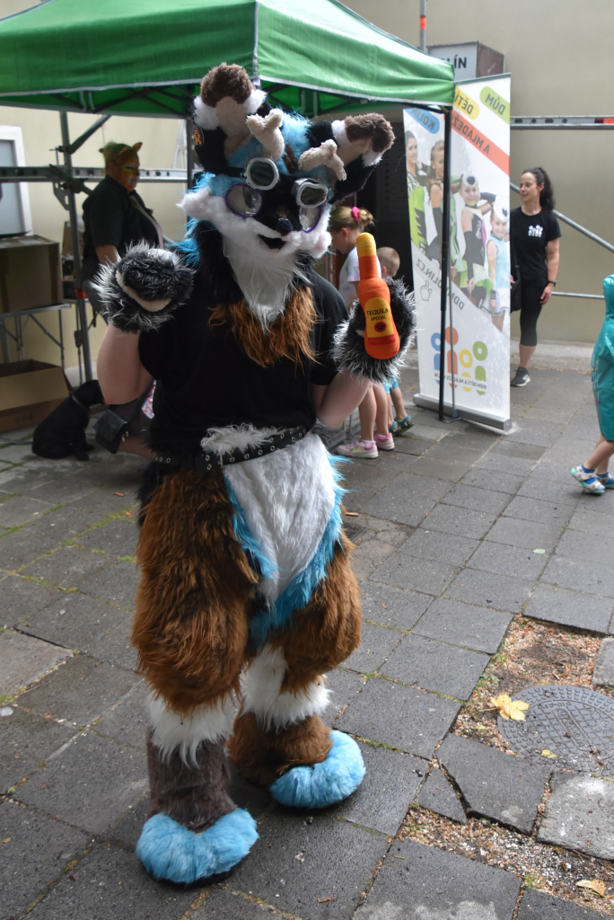 DSC_6249.JPG