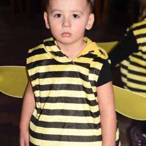 Karneval 15. 2. 2026