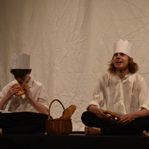 Dětská scéna - krajské kolo přehlídky dětského divadla